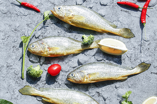Yellow Croaker