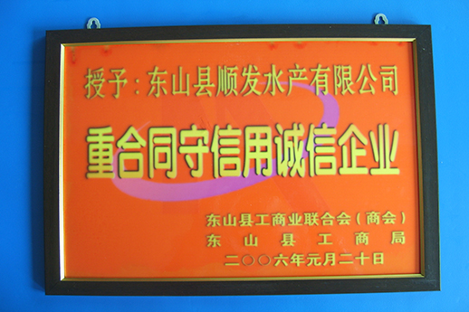 榮譽(yù)證書17