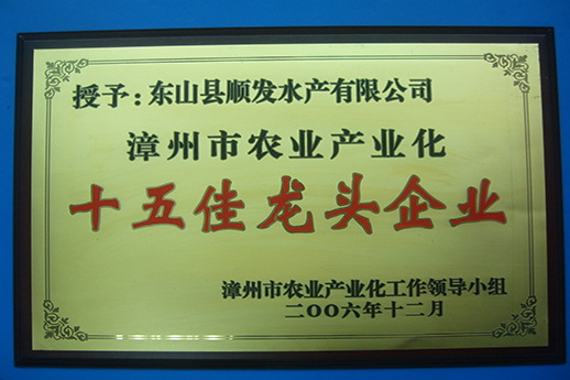 榮譽(yù)證書18