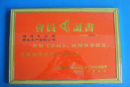 榮譽(yù)證書19