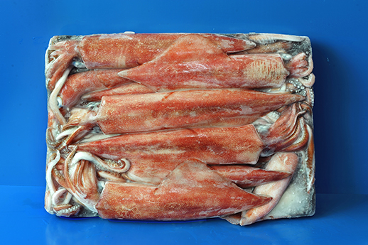 Squid raw material